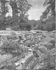 /uploads/image/formalgardens/Bridge in Rockery.jpg